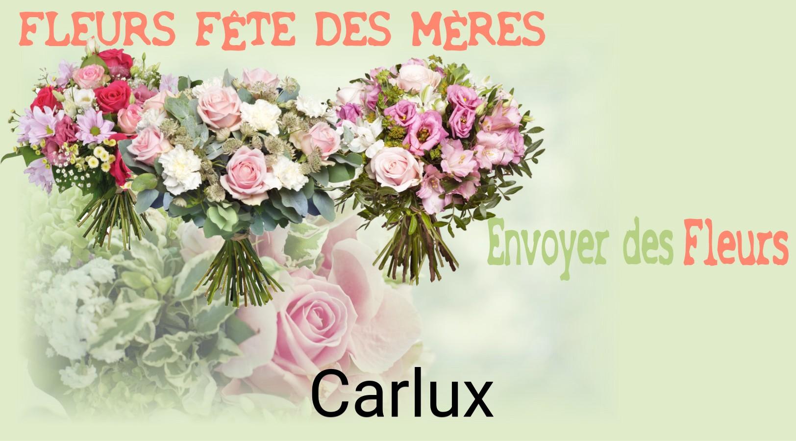 Bouquet de Fête des Mères livré à Carlux